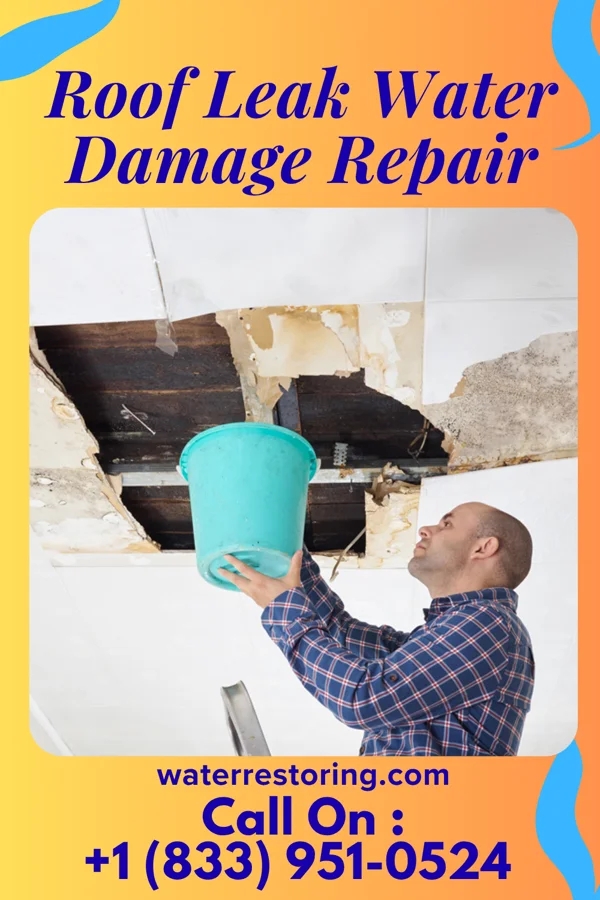 Roof Leak Water Damage Repair in Murphy, OK