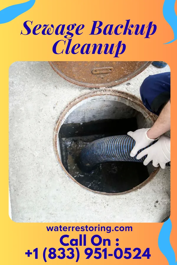 Sewage Backup Cleanup in Murphy, OK